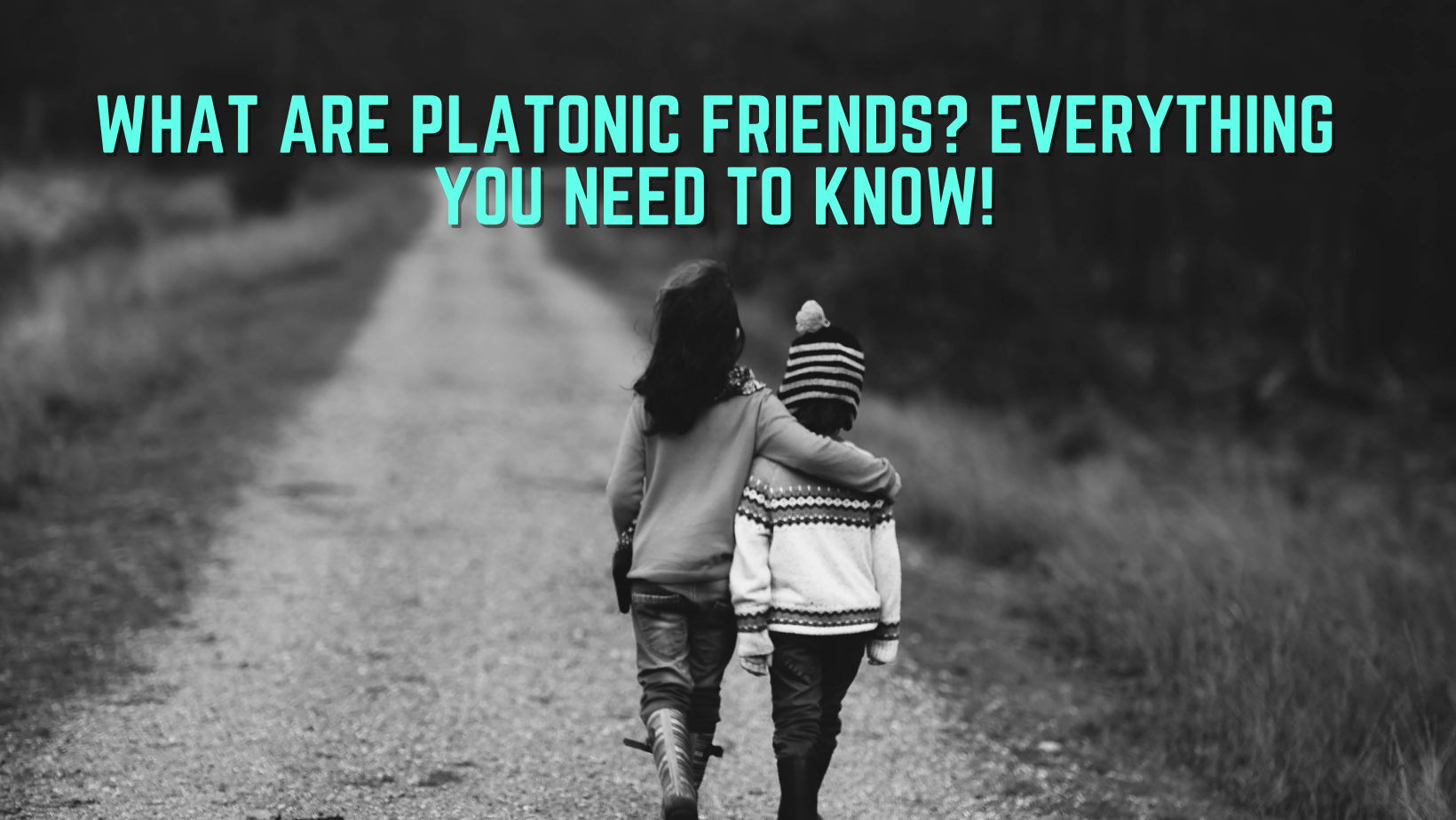 Platonic Friends